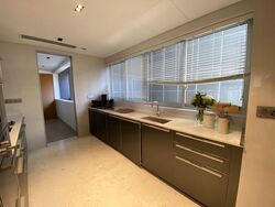 St. Regis Residences (D10), Apartment #480627271